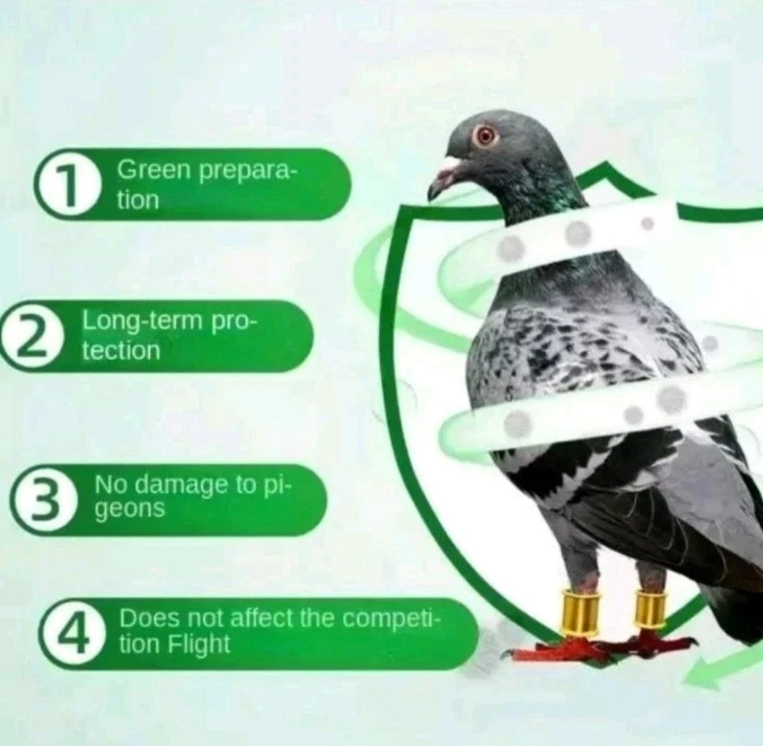 Racing Pigeon Probiotics Green Stool Loss Appetite Conditioning Intestinal Trac